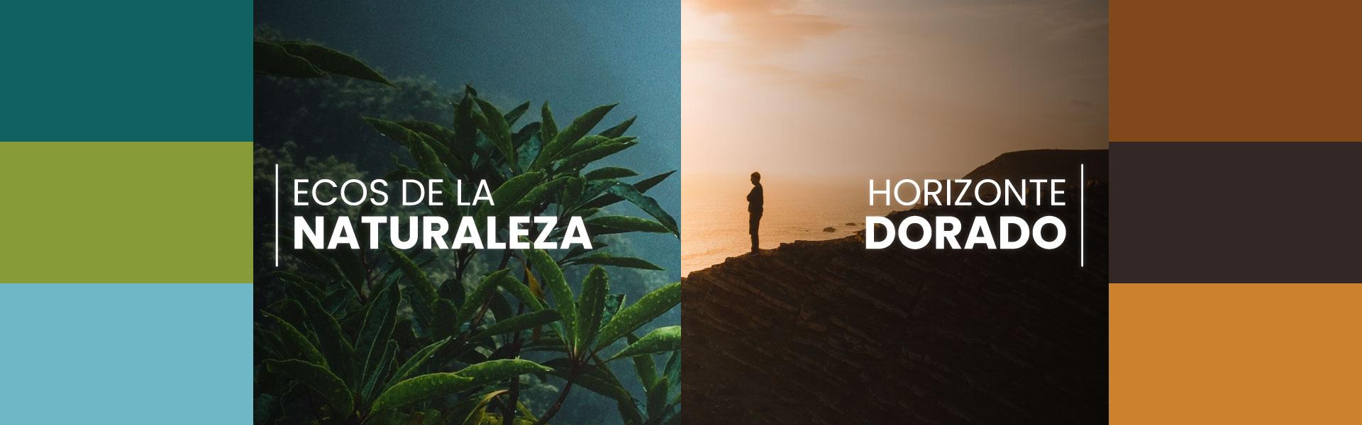 https://cms.pintacasa.com.ve/wp-content/uploads/2024/02/banner-web-pinta-casa3.jpg