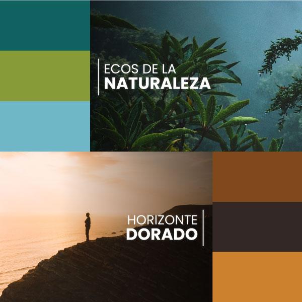 https://cms.pintacasa.com.ve/wp-content/uploads/2024/02/banner-web-pinta-casa32.jpg