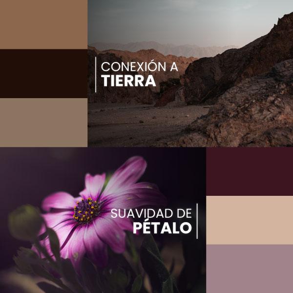 https://cms.pintacasa.com.ve/wp-content/uploads/2024/02/banner-web-pinta-casa52.jpg